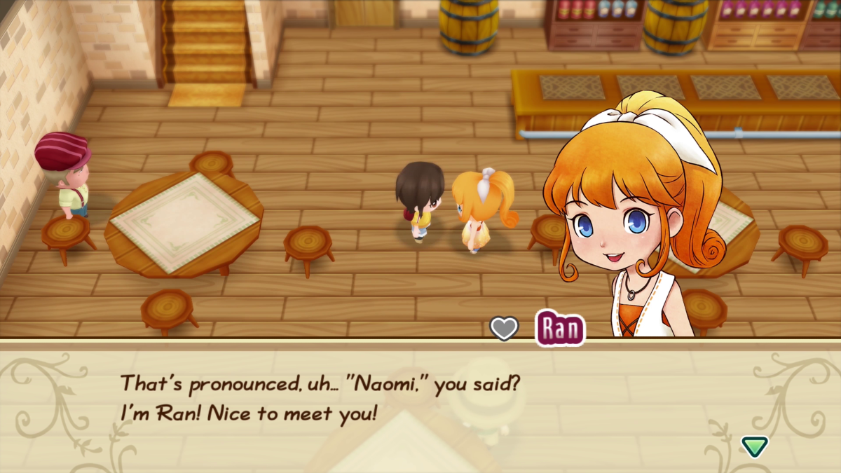 Story of Seasons : Friends of Mineral Town SWITCH
