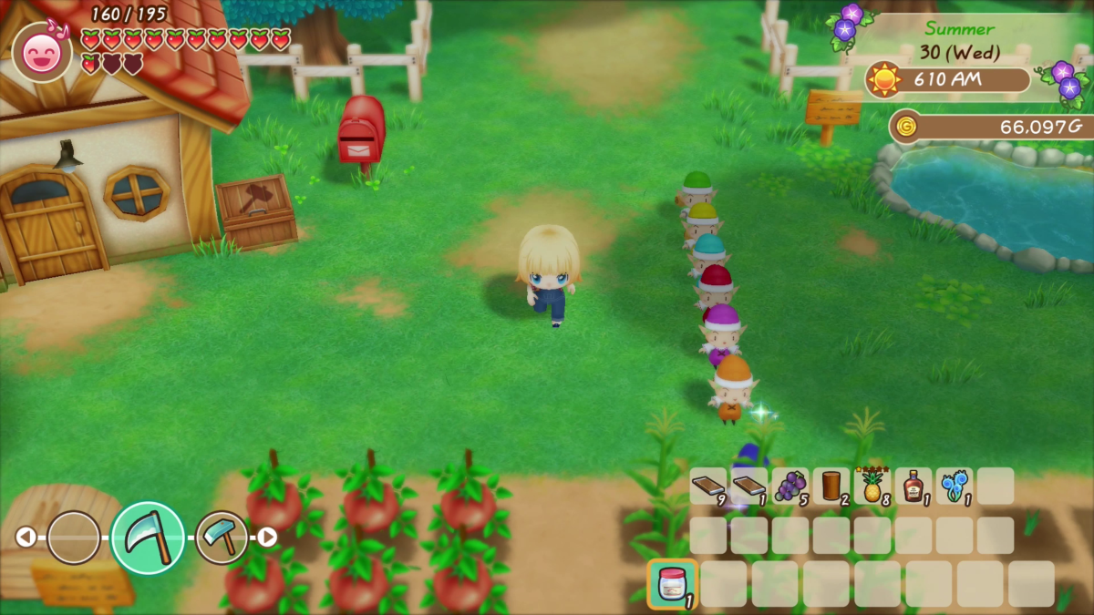 Story of Seasons : Friends of Mineral Town SWITCH