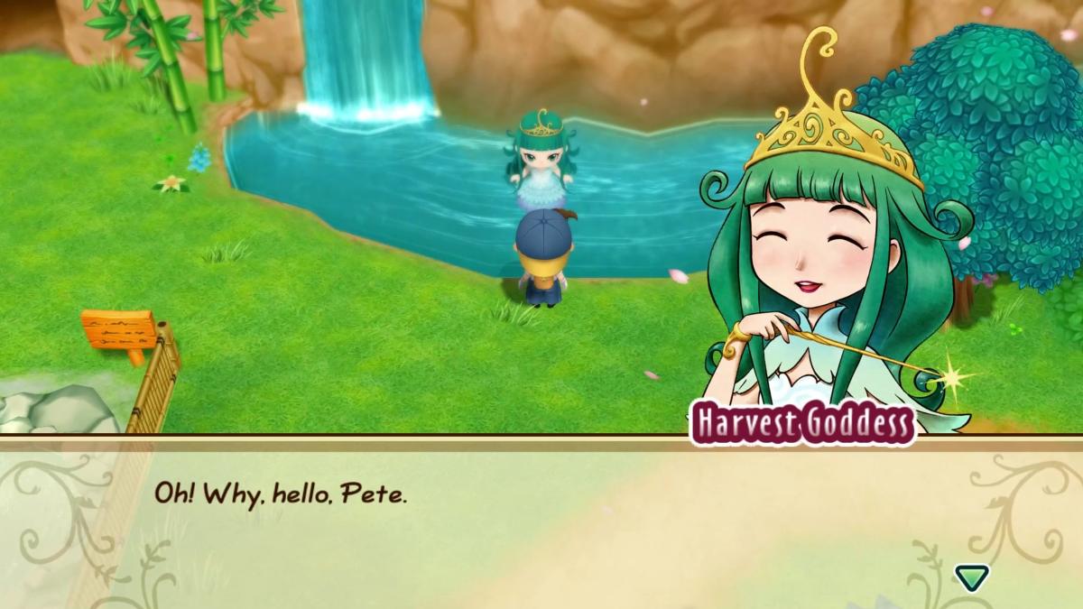 Story of Seasons : Friends of Mineral Town PS4