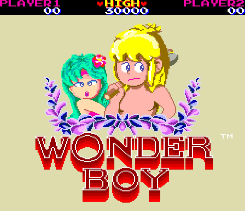 Wonder Boy Collection Nintendo SWITCH